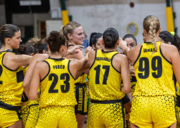 La Nuova Icom cala il poker