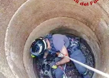 Benetutti: salvato un segugio caduto in un pozzo
