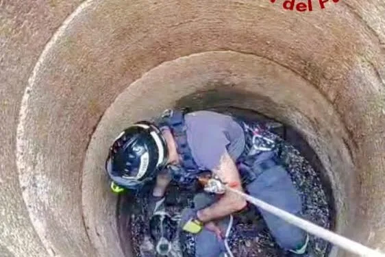 Benetutti: salvato un segugio caduto in un pozzo