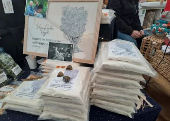 Da Seulo in Corsica per la festa della castagna “gemellata” con la Francia