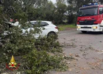 Tortolì: un albero cade sopra un’auto, due feriti
