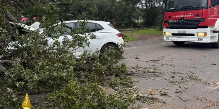 Tortolì: un albero cade sopra un’auto, due feriti