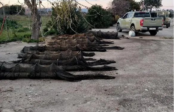 Santa Giusta: sequestrati 30 bertovelli