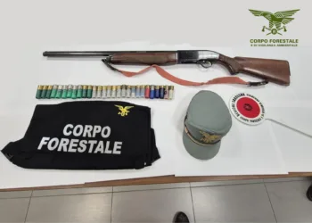 Olmedo: a caccia con il porto d’arma scaduto da tre anni, denuncia e sequestro dell’arma
