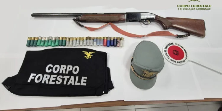 Olmedo: a caccia con il porto d’arma scaduto da tre anni, denuncia e sequestro dell’arma