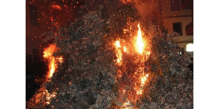 Talana: il programma de “Su barracu de Sant’Antoni”