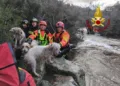 Aggius: i vigili del fuoco salvano tre cani