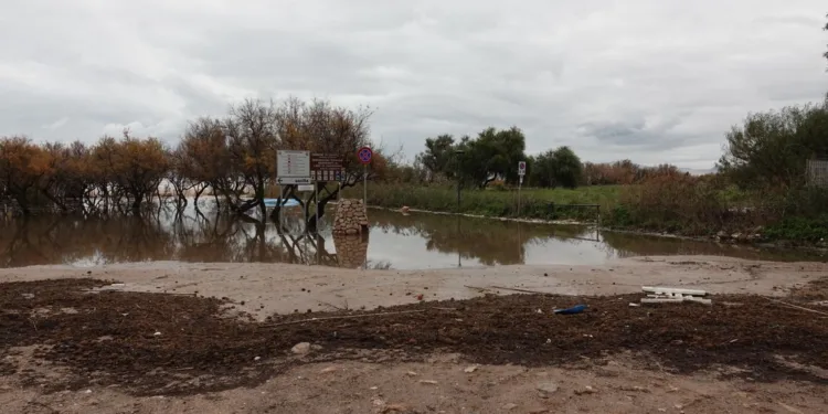 L’assessora del Lavoro Desirè Manca invita alla collaborazione delle imprese per sostenere la mobilità e ridurre i disagi nell’area industriale di Macchiareddu