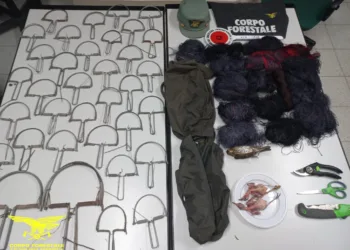 Maracalagonis e Quartucciu: operazione antibracconaggio del Corpo forestale