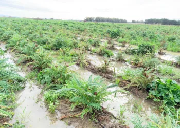 Sarrabus, Villacidrese e Sud Sardegna sotto la morsa del maltempo