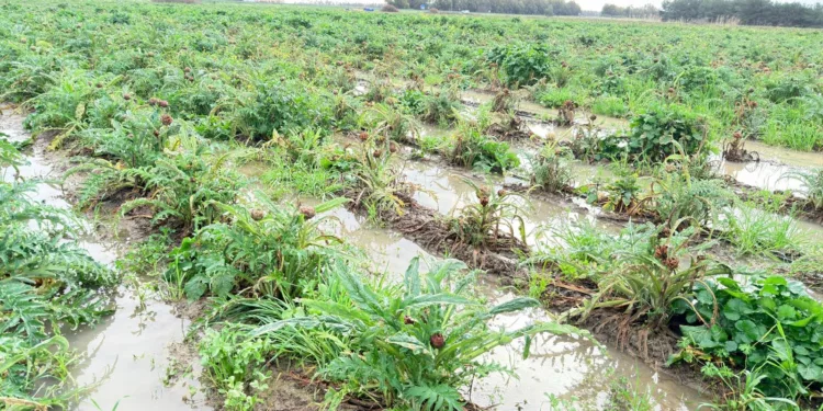 Sarrabus, Villacidrese e Sud Sardegna sotto la morsa del maltempo