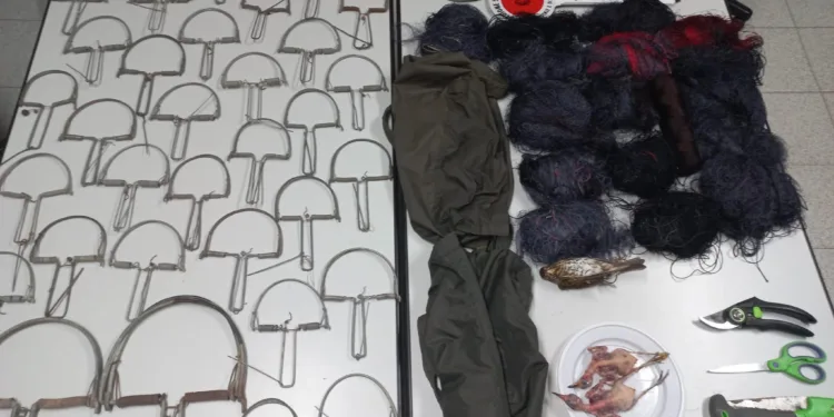 Maracalagonis e Quartucciu: operazione antibracconaggio del Corpo forestale