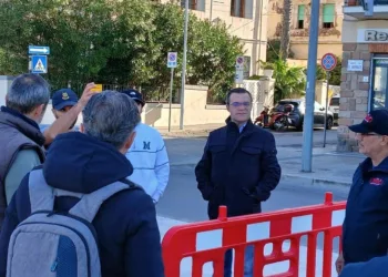 Alghero: ecco le nuove palme sul Lungomare Barcellona