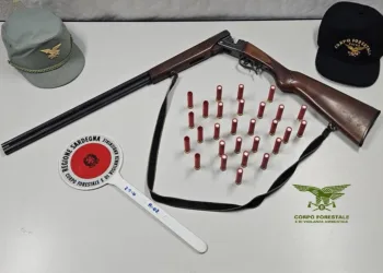 Sinnai: spara a uccelli migratori fuori dalla stagione venatoria, nei guai un bracconiere