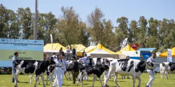 Arborea: il 18 e 19 aprile la 41ª Fiera dell’Agricoltura