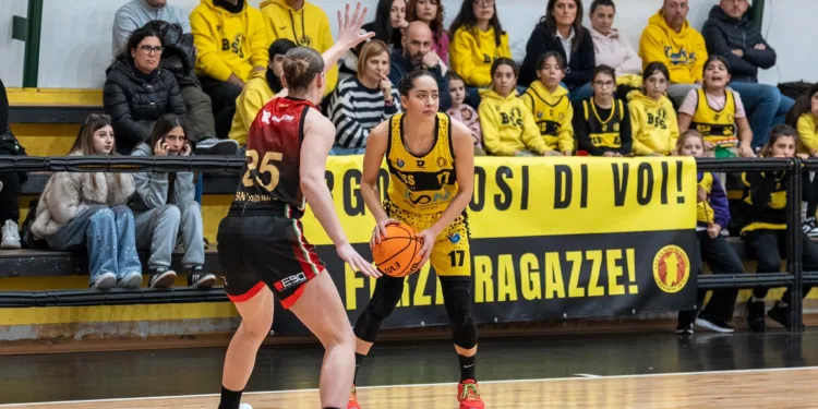 Nuova Icom corsara a Moncalieri