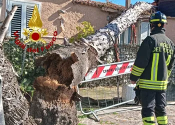 Forte vento in Sardegna, gli interventi dei vigili del fuoco
