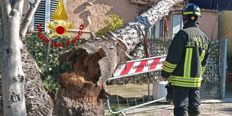 Forte vento in Sardegna, gli interventi dei vigili del fuoco