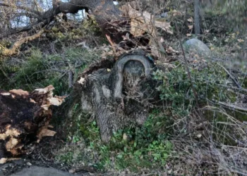 Maltempo nel Nuorese e in Ogliastra: parte la conta dei danni