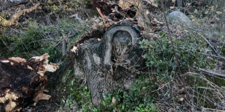 Maltempo nel Nuorese e in Ogliastra: parte la conta dei danni