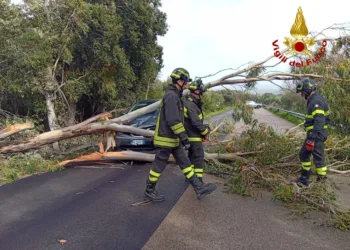 Forte vento in Sardegna: disagi ad Arzachena, Porto Torres e Tempio Pausania