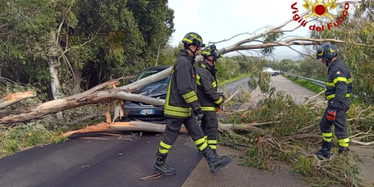 Forte vento in Sardegna: disagi ad Arzachena, Porto Torres e Tempio Pausania