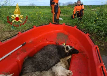 Maltempo in Sardegna: oltre mille interventi dei vigili del fuoco