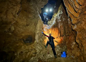 Da una ricerca del Parco di Tepilora, Università di Bruxelles, Speleosub ed espetti multidisciplinari, scoperte 10 nuove specie animali