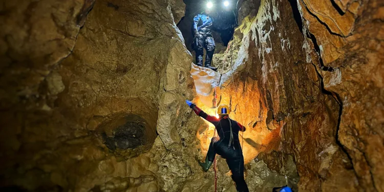 Da una ricerca del Parco di Tepilora, Università di Bruxelles, Speleosub ed espetti multidisciplinari, scoperte 10 nuove specie animali