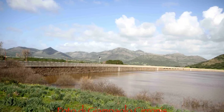 Confagricoltura Sardegna: «Buone notizie dall’ANBI che accoglie le nostre proposte su efficientamento della rete idrica e interconnessione tra invasi»
