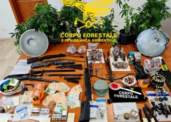 Operazione antibracconaggio del Corpo forestale: due arresti e sequestro di armi, munizioni, selvaggina e stupefacenti