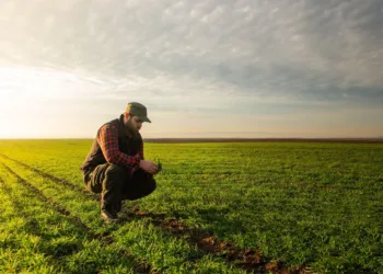 Agricoltura: 75 milioni di euro per investimenti produttivi, domande a partire dal 31 marzo