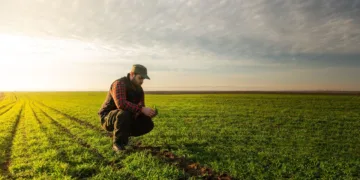 Agricoltura: 75 milioni di euro per investimenti produttivi, domande a partire dal 31 marzo