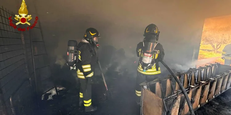 Orgosolo: a fuoco una stalla, morte 25 pecore