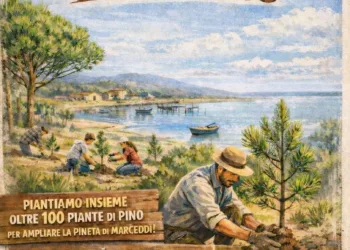 “Radici per il futuro”: domani a Marceddì piantumazione di 180 alberi a opera di Csm di Ales-Terralba, Volume Collettivo e Los Mandrolleros