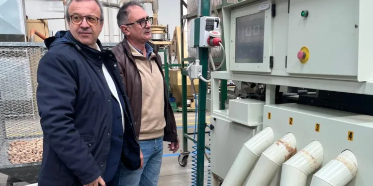 Comparto sughero, l’assessore dell’Industria Emanuele Cani incontra gli imprenditori a Berchidda: «Impegno comune per istituire il distretto che favorirà il rilancio del settore»