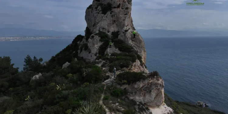 Il Corpo forestale e il Soccorso alpino hanno rimosso cordame pericoloso dalla parete del promontorio della Sella del Diavolo