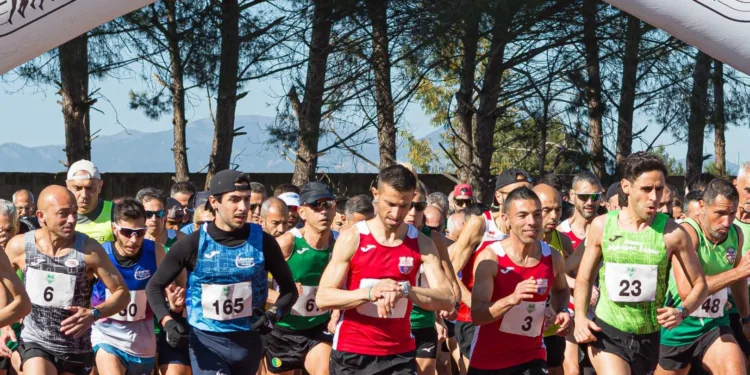 A Samassi, domenica 15 marzo, la 45ª “Marcialonga del carciofo”