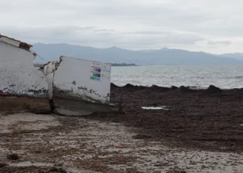 Ciclone Harry, danni in agricoltura: prorogata al 28 marzo la scadenza per le segnalazioni tramite l’App Agea