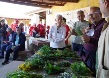 “Giornate del Cibo”: a Villanova Monteleone si riscoprono le “Erbe spontanee”
