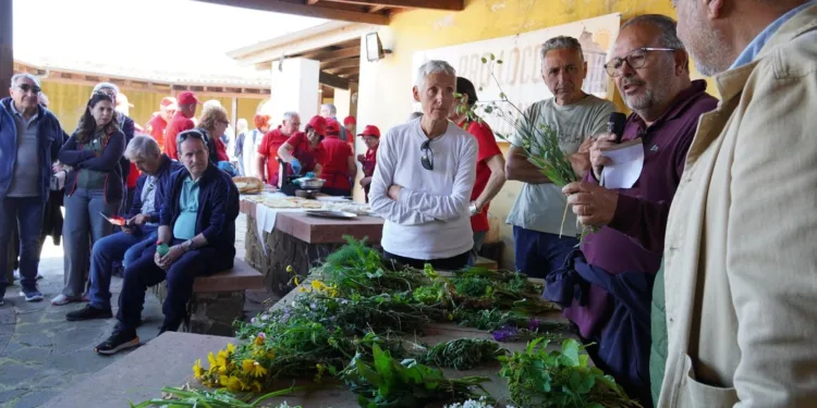 “Giornate del Cibo”: a Villanova Monteleone si riscoprono le “Erbe spontanee”
