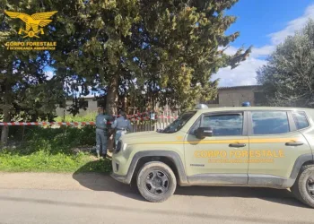 Maracalagonis: contrasto alla combustione illegale di rifiuti pericolosi, due denunce