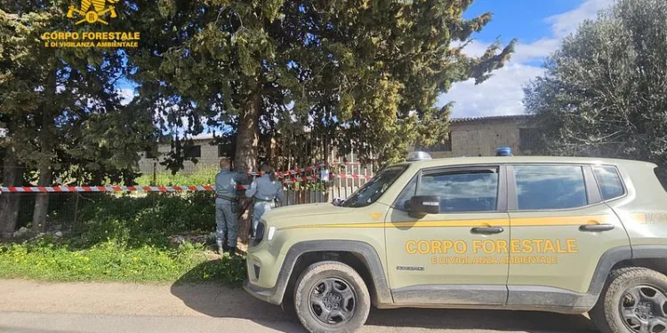 Maracalagonis: contrasto alla combustione illegale di rifiuti pericolosi, due denunce