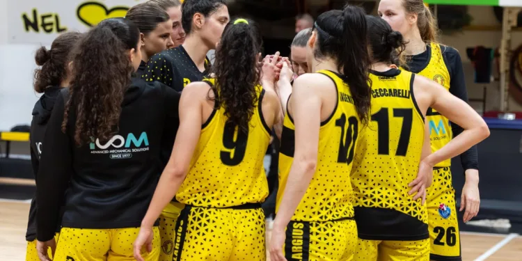 Nuova Icom, al PalaVienna il derby che chiude la regular season