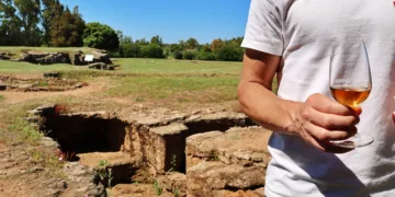 Radizi 2026: tre tappe tra vino, artigianato e musica nel Nord-Ovest della Sardegna