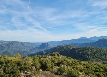 Foreste aperte nel Parco di Tepilora: l’11 aprile a Lodè, il 12 a Bitti, il 19 a Torpè e il 25 a Posada