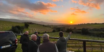 Radizi 2026: tre giorni nel Nord Ovest della Sardegna per raccontare il vino attraverso il territorio