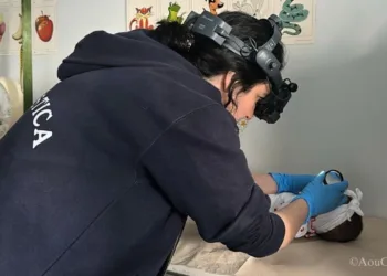 Retinopatia neonatale, al Policlinico Duilio Casula si può curare. I prematuri sardi non dovranno più affrontare lunghi viaggi