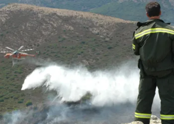 Volontariato di Protezione civile, convocata per domani l’assemblea regionale: un momento centrale per la democrazia e il rafforzamento del sistema