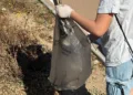 Torre Grande: successo per la giornata ecologica